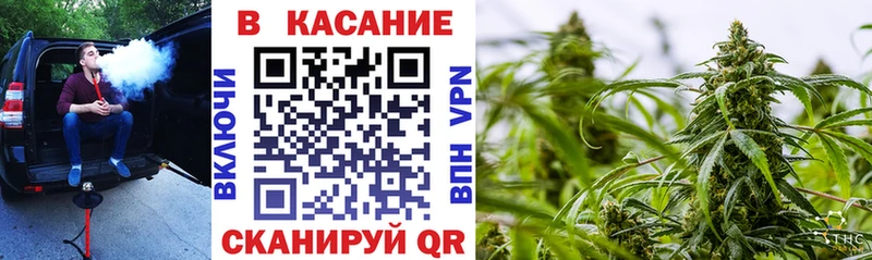 Что такое Райчихинск MEGA зеркало  COCAIN  ГАШ  Амфетамин  Бошки Шишки  Меф мяу мяу  A PVP 