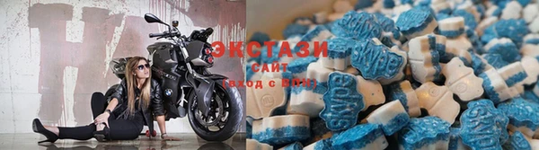 гидра Вяземский