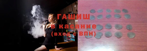 гидра Вяземский