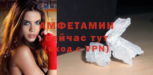 гидра Вяземский