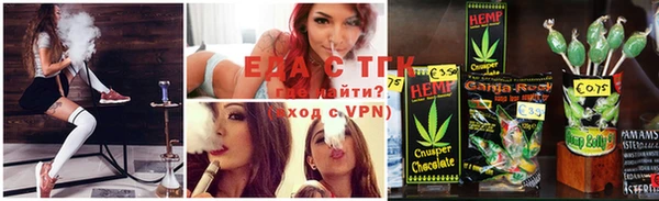 гидра Вяземский