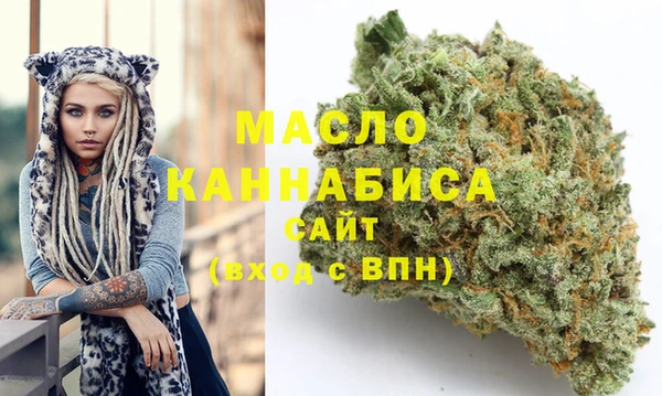 гидра Вяземский
