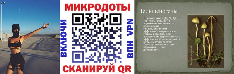 Псилоцибиновые грибы GOLDEN TEACHER  Райчихинск 